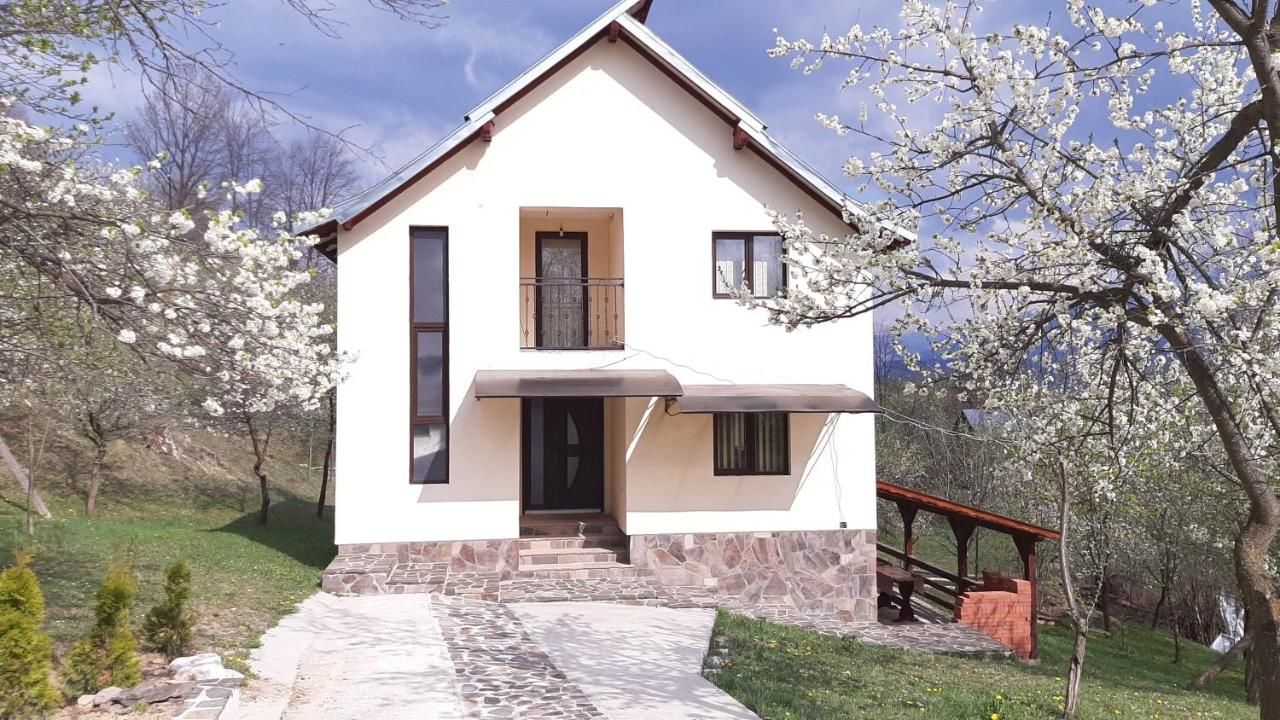 Дома для отпуска Casa Fluțar Мойсей-4