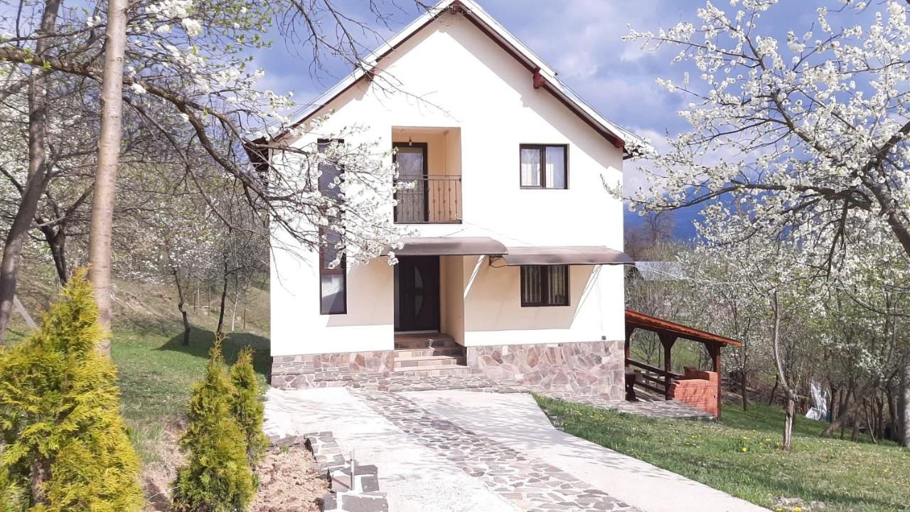 Дома для отпуска Casa Fluțar Мойсей-21